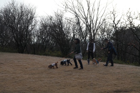 第4回キャンプ『マザーウルフCAMP~2014冬~in 静岡_e0191026_14534574.jpg