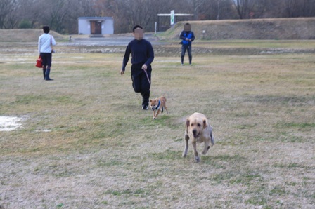 第4回キャンプ『マザーウルフCAMP~2014冬~in 静岡_e0191026_14563364.jpg