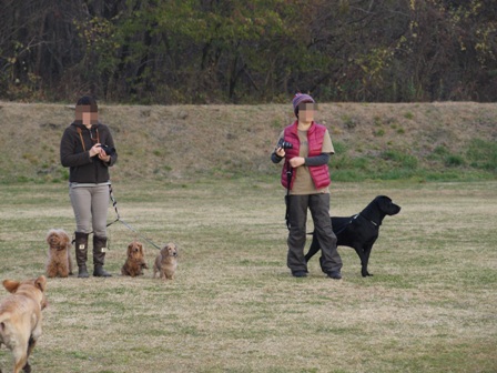第4回キャンプ『マザーウルフCAMP~2014冬~in 静岡_e0191026_14572932.jpg