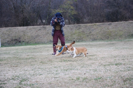 第4回キャンプ『マザーウルフCAMP~2014冬~in 静岡_e0191026_14575936.jpg