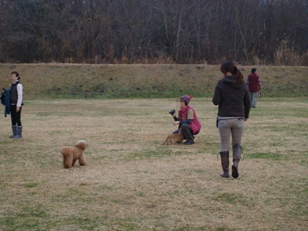 第4回キャンプ『マザーウルフCAMP~2014冬~in 静岡_e0191026_14593812.jpg