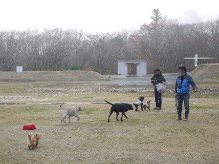 第4回キャンプ『マザーウルフCAMP~2014冬~in 静岡_e0191026_14595992.jpg