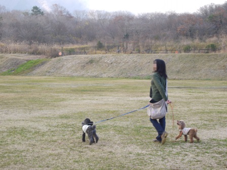 第4回キャンプ『マザーウルフCAMP~2014冬~in 静岡_e0191026_1511848.jpg