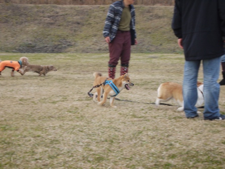 第4回キャンプ『マザーウルフCAMP~2014冬~in 静岡_e0191026_151401.jpg