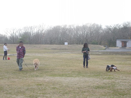 第4回キャンプ『マザーウルフCAMP~2014冬~in 静岡_e0191026_1515917.jpg