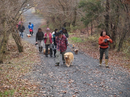 第4回キャンプ『マザーウルフCAMP~2014冬~in 静岡_e0191026_1524785.jpg