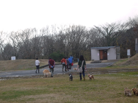 第4回キャンプ『マザーウルフCAMP~2014冬~in 静岡_e0191026_152928.jpg