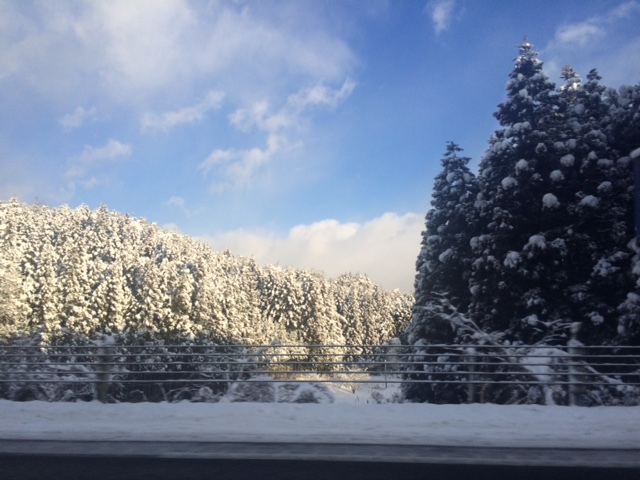 f0353034_02114718.jpg