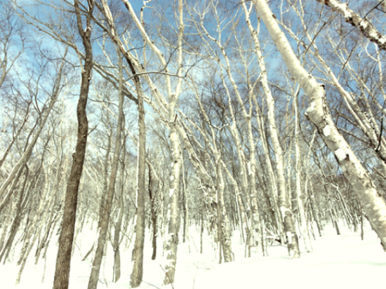 d0235336_15344773.png