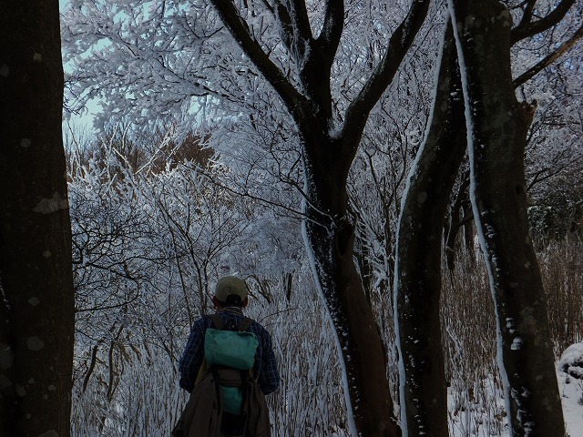 今年も「霊山」に　登山できて　霧氷とに出会い　ラッキー！！！_d0048350_1112737.jpg