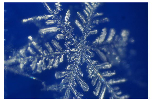 雪の観察会が・・・_b0115553_11395781.png