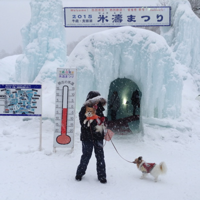  氷濤まつりと会議_b0122262_212295.jpg