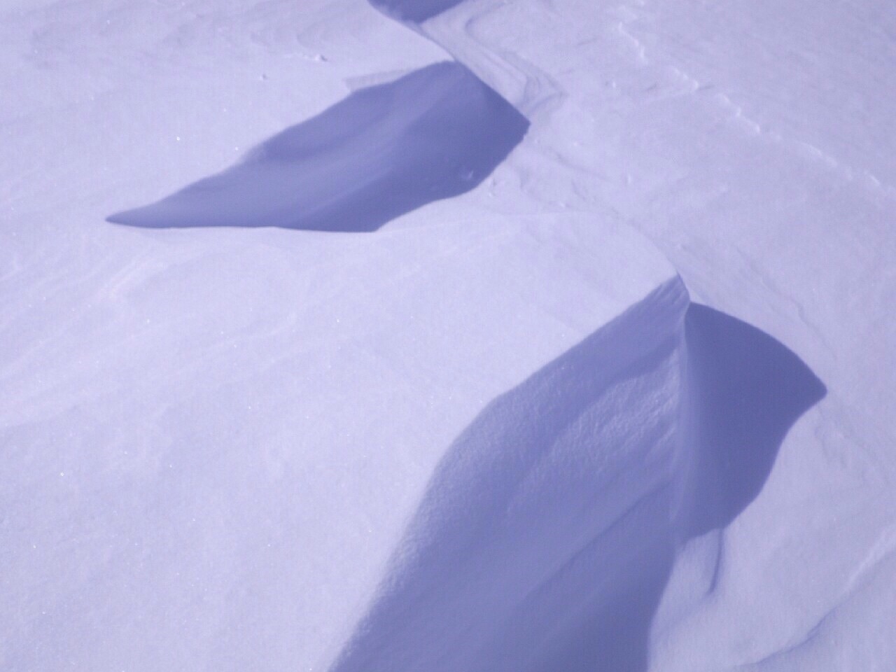 e0187064_14341342.jpg