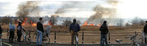 多摩川河川敷の火事 12年2月 多摩の中ほど 多摩川河川敷の火事 12年2月 多摩の中ほど
