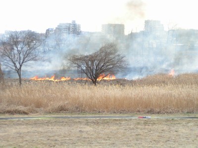 多摩川河川敷の火事 12年2月 多摩の中ほど 多摩川河川敷の火事 12年2月 多摩の中ほど