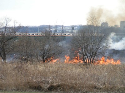 多摩川河川敷の火事 12年2月 多摩の中ほど 多摩川河川敷の火事 12年2月 多摩の中ほど