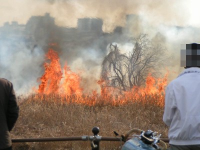 多摩川河川敷の火事 12年2月 多摩の中ほど 多摩川河川敷の火事 12年2月 多摩の中ほど