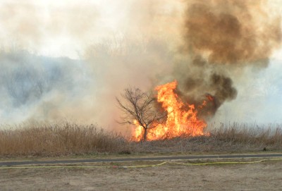 多摩川河川敷の火事 12年2月 多摩の中ほど 多摩川河川敷の火事 12年2月 多摩の中ほど