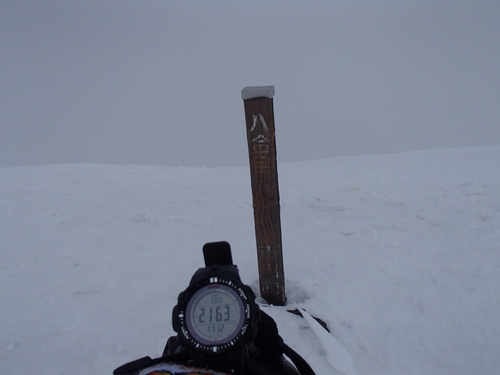f0130376_19203130.jpg