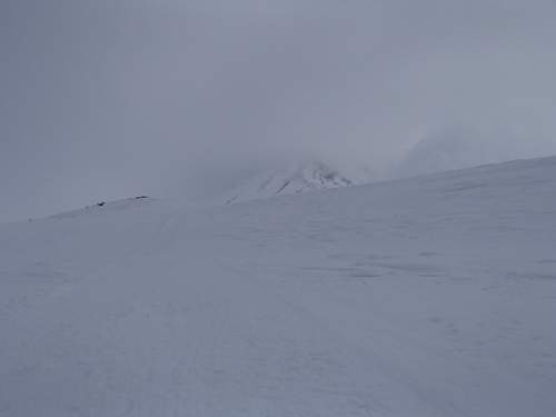 f0130376_6575345.jpg