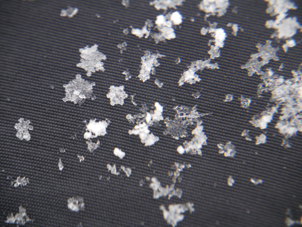 雪の結晶を見に 15年2月6日 金 わびさび日記 雪の結晶を見に 15年2月6日 金 わびさび日記