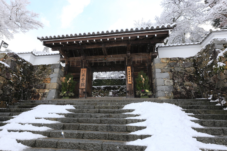 三千院_e0051888_5261311.jpg