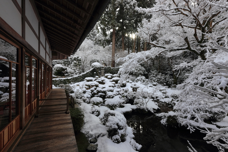 三千院_e0051888_5263953.jpg