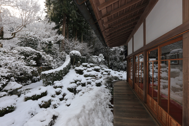 三千院_e0051888_5272818.jpg