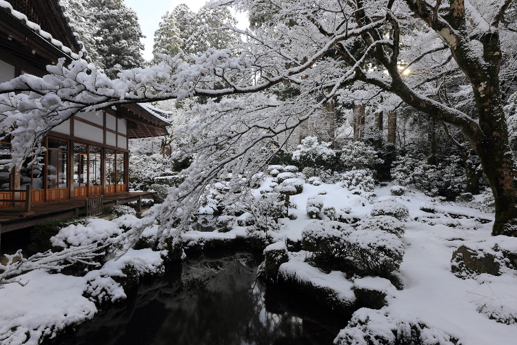 三千院_e0051888_527786.jpg