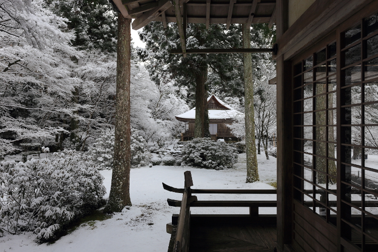 三千院_e0051888_5282274.jpg