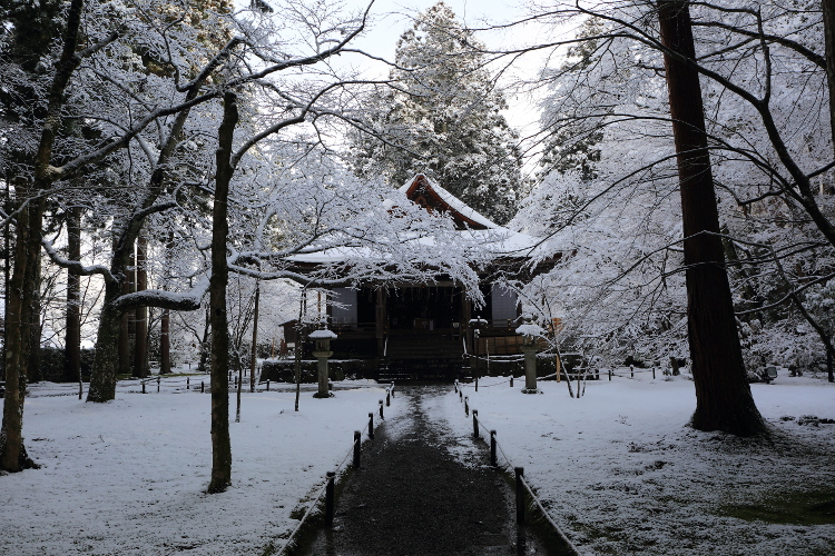 三千院_e0051888_5294148.jpg