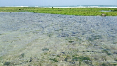 a0243396_20423450.jpg