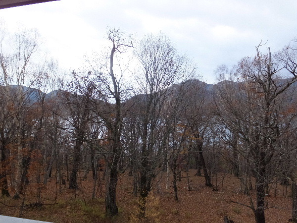 d0080998_21551539.jpg