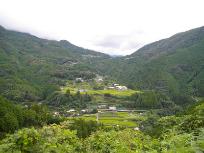 f0308898_04459.jpg