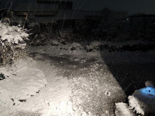 f0326399_13334210.jpg