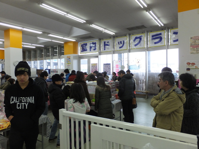 出来ることから始めよう! 里親募集 譲渡会に行ってきました! _c0226202_10543759.jpg