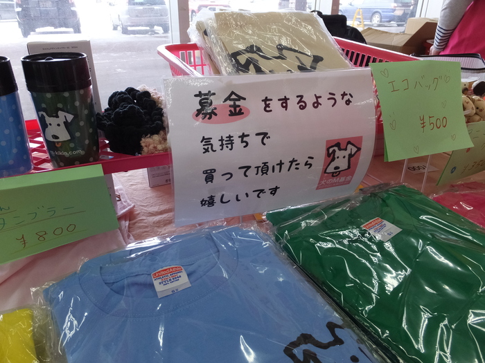 出来ることから始めよう！　里親募集　譲渡会に行ってきました！　_c0226202_11164377.jpg
