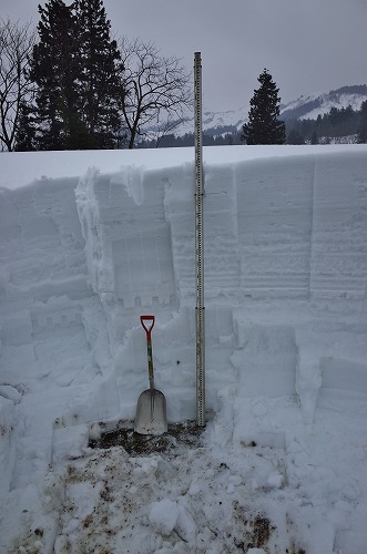 積雪深を計測してみました_c0336902_18251615.jpg