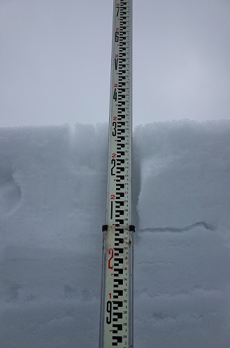 積雪深を計測してみました_c0336902_1826407.jpg