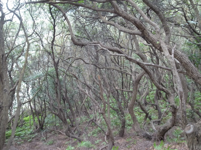 f0197703_14375161.jpg