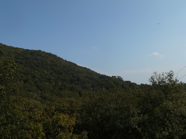 f0197703_1440116.jpg