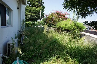 f0190020_16001778.jpg
