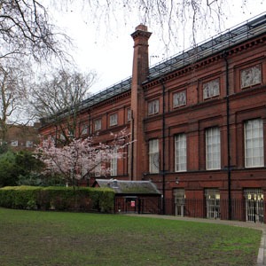 b0199526_204331.jpg