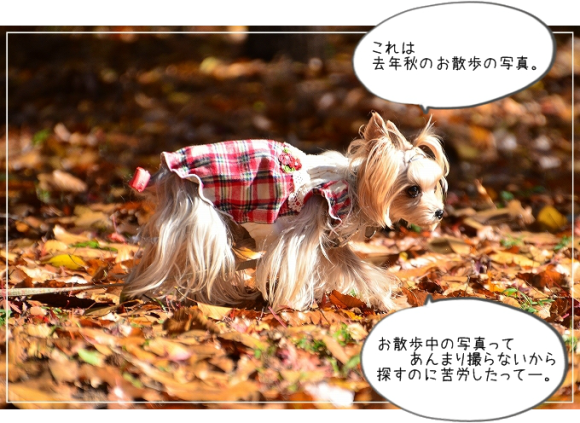 d0179828_07071339.png