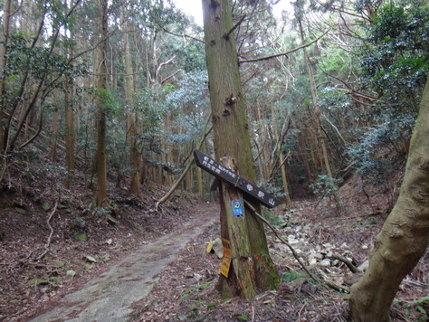 藍那古道から丹生山へ向う_a0260638_19581597.jpg