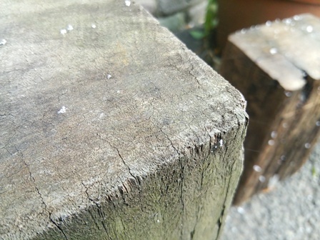 f0177841_15562049.jpg