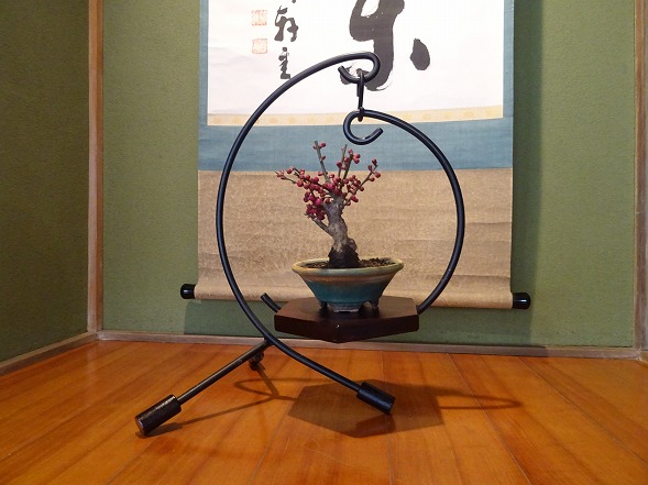 長浜盆梅展_b0299042_22285742.jpg