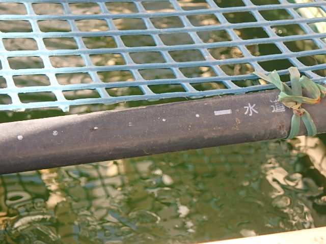 f0334143_9451247.jpg
