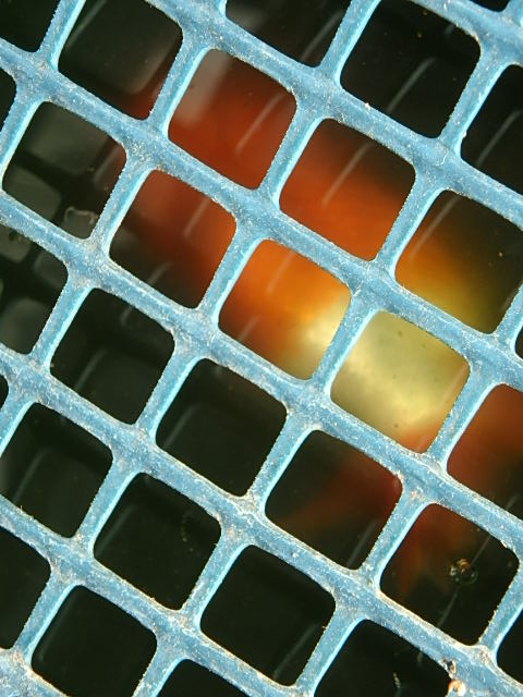 f0334143_9451859.jpg