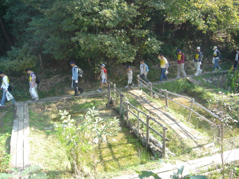 泉南広域エコ・ウォークラリーサポート      in　　せんなん里海公園_c0108460_18373757.jpg